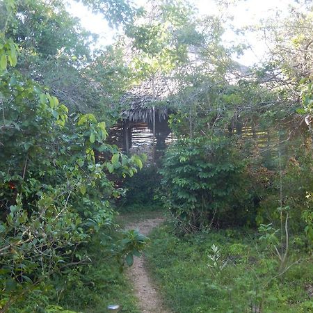 Wasini Island Bandas Ngoại thất bức ảnh