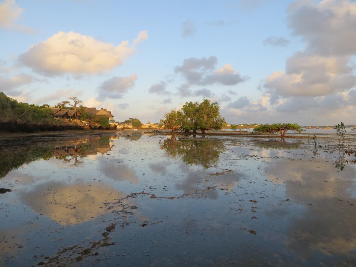Wasini Island Bandas Ngoại thất bức ảnh