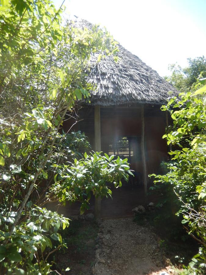 Wasini Island Bandas Ngoại thất bức ảnh