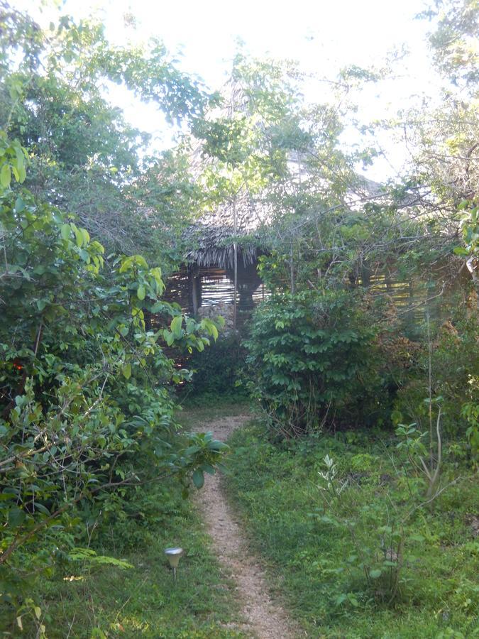 Wasini Island Bandas Ngoại thất bức ảnh