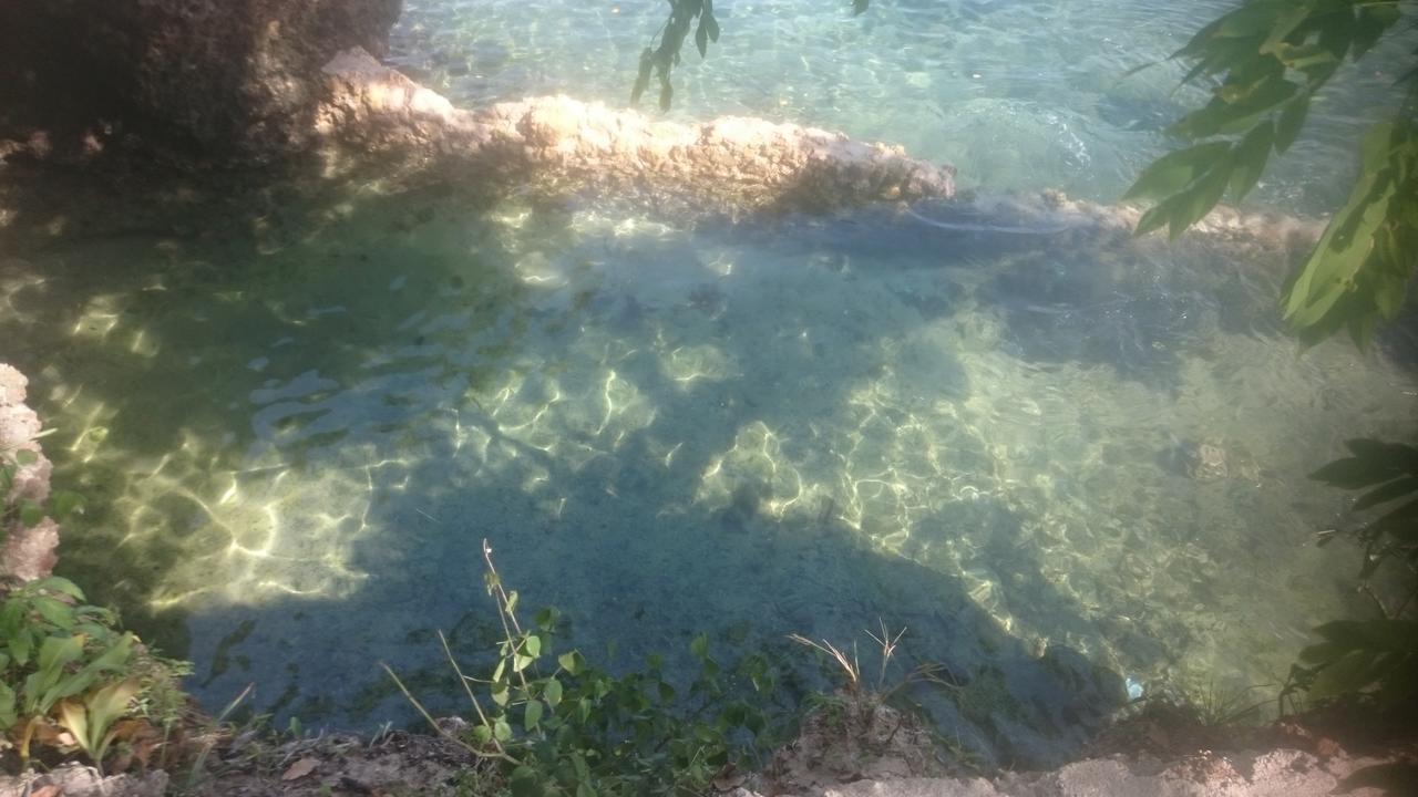 Wasini Island Bandas Ngoại thất bức ảnh